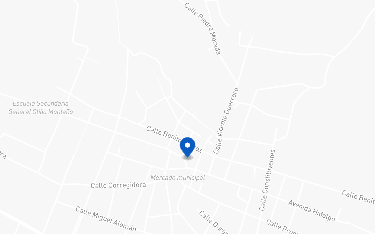 Mapa con la ubicación de la sucursal Copala, en Copala